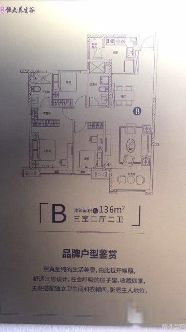 沈抚万科城市之光恒大养生谷国家省政府重.点扶持项目