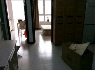 丽湾国际 1室1厅1卫 52.00㎡