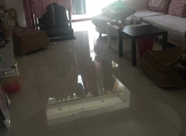 沈北品牌开发商洋房碧桂园·太阳城