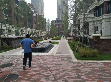 奥体板块 现房 地铁9号线 万锦香樟树