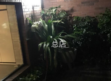 使用面积200平 超大使用空间
