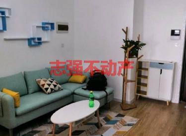 明城新北市 临近市府 地铁公交便利 周边设施齐全 拎包入住