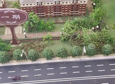 碧水俪城 3室2厅1卫99.21㎡