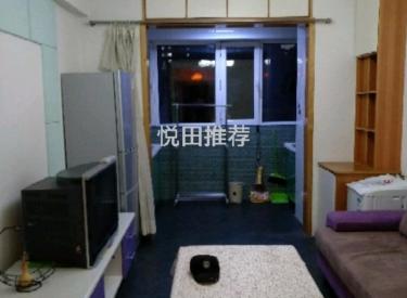 新湖北国之春三期 家电齐全 看房方便 拎包即住