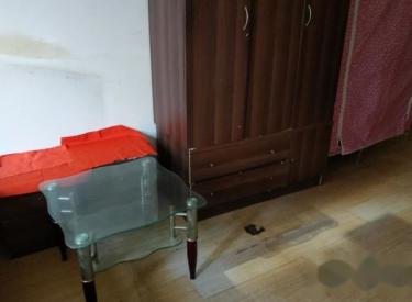 沈河区 良城美景 一室一厅一卫 简单装修 南向双阳 不把山 不临街