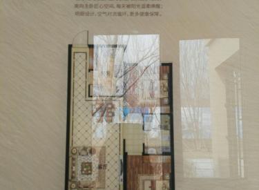 沈阳孔雀城经典高层 2室2厅1卫78㎡