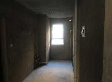 电梯洋房 毛坯现房 楼一王 不临街不把山有钥匙南京一南昌中