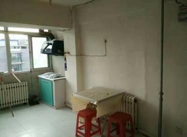 繁华地段地铁房南北小户型