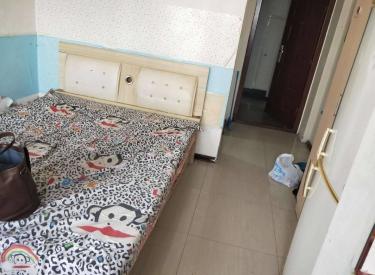 中央大学城小户型一室,中等装修看房方便