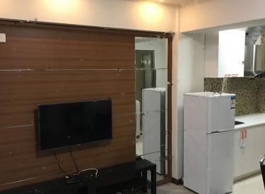 万科蓝山 1室1厅 南 高档物业 家电齐全