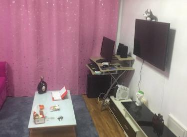 明年上126,步行5,精装修现房,一室小户型,轻轨出门随时看