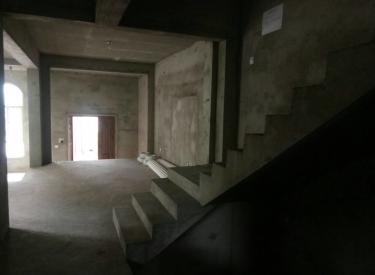 东边户鸟岛旁 赔钱卖实得500平河景别墅 桑提亚纳离市区近