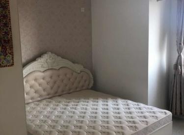 启工街地铁口美好愿景精装两室交通方便家电齐全拎包入住