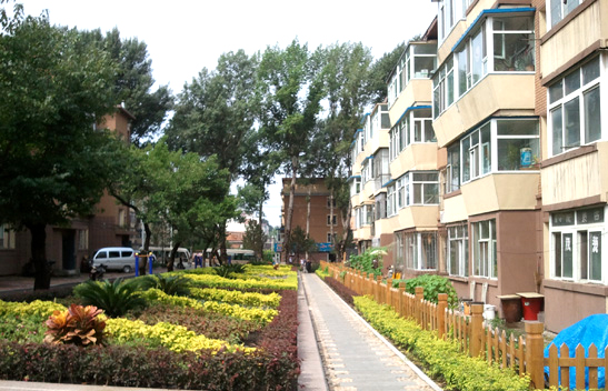 树成行 柳成荫 年底前全市老旧小区变“花园”