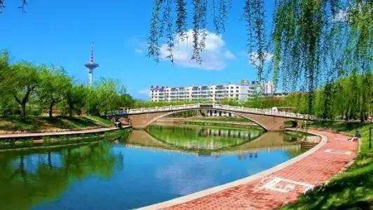 今年改造南运河、新开河等8条水系护岸景观