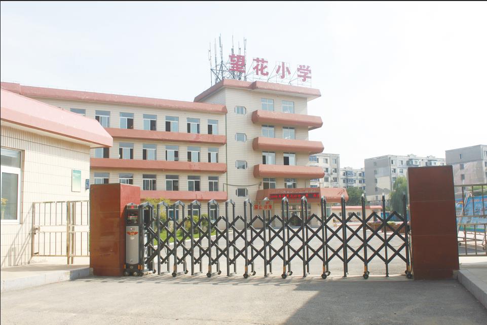 小编带你来看,你不知道的望花板块