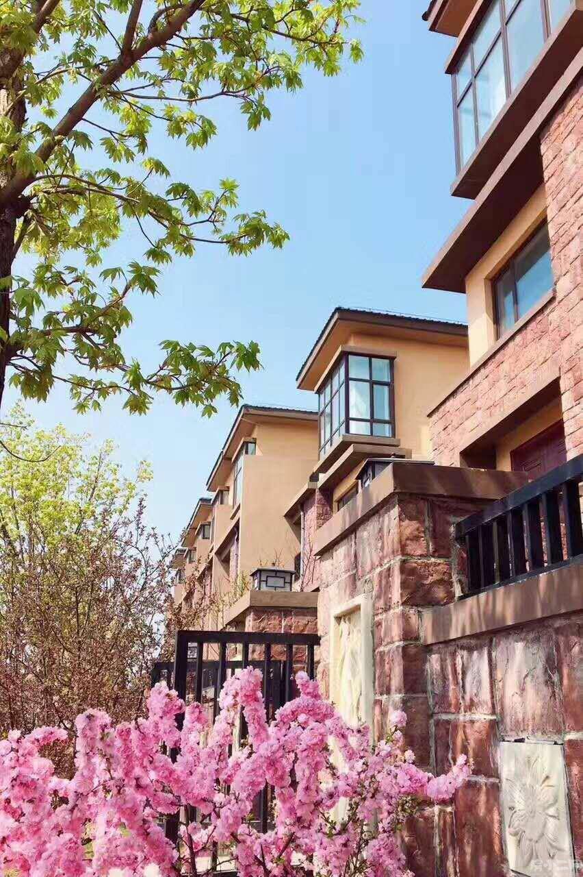 沈北逸景盛熙城 景观别墅 蒲河旁 地上四层 高端纯别墅区