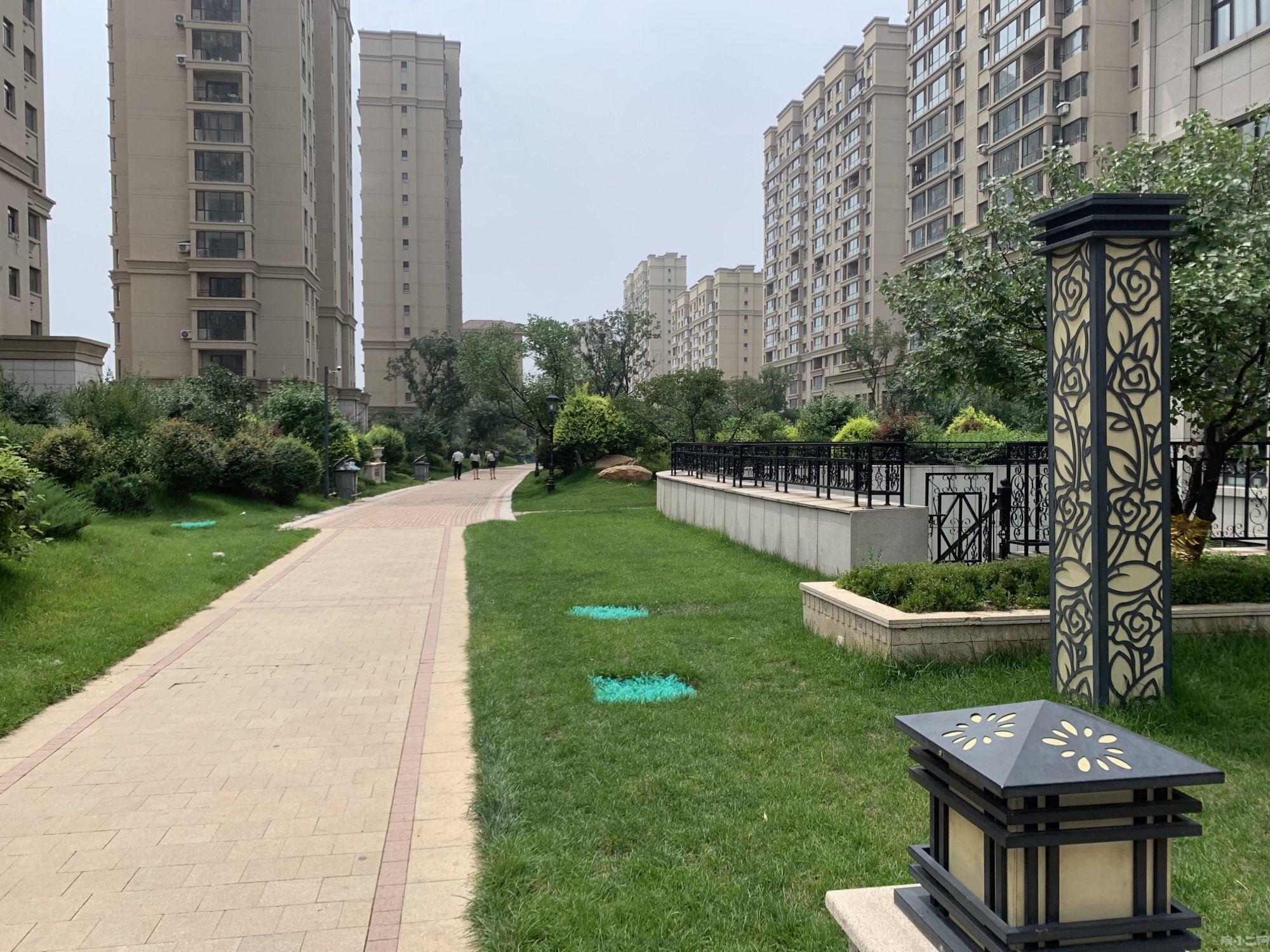 沈北 萬達旁 雨潤中央宮園 雙學區 河景小高層 南北通透