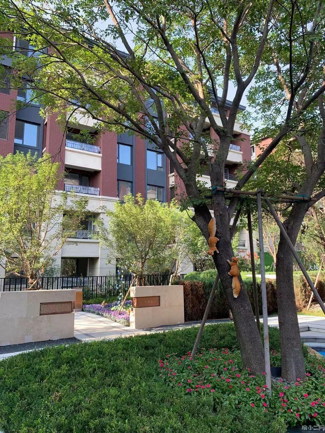 新市府远洋仰山小高洋房地下2层126中小学