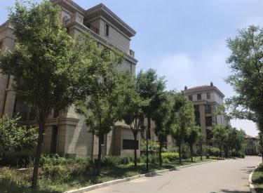 浑南新市府旁 94平三室南北通透 府城铭邸 万科物业洋房园区