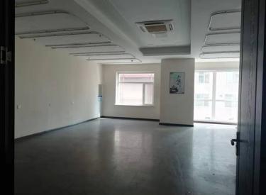 沈河区-青年公园