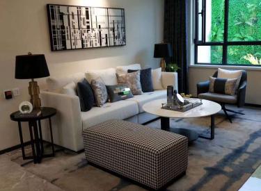 海逸康城 精装修 交付标准同图 首付可分期 不限购