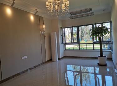 浑南 奥体南 恒大文化旅游城 精装修 拎包入住 看房方便