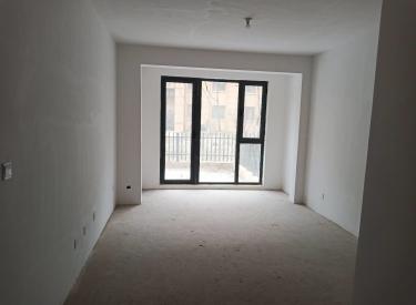 准现房 洋房 南北标戸 别墅园区 七中 望湖路小学 双學区