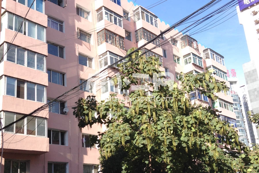 更多房源图片