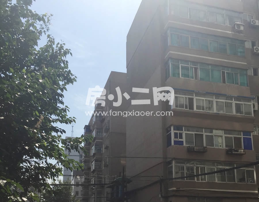 更多房源图片