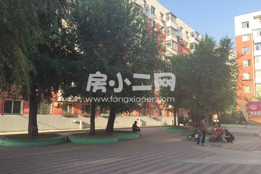 更多房源图片