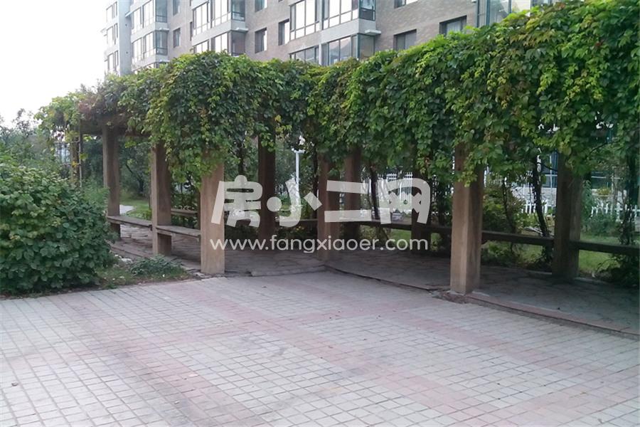 更多房源图片