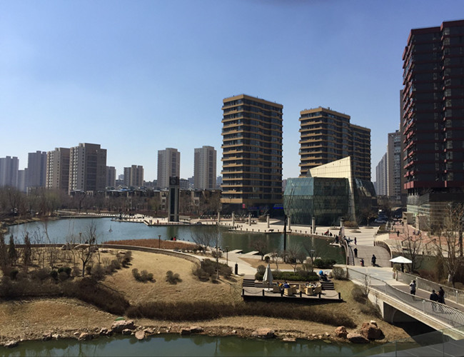 【金地棕榈岛】祝您白头到老!