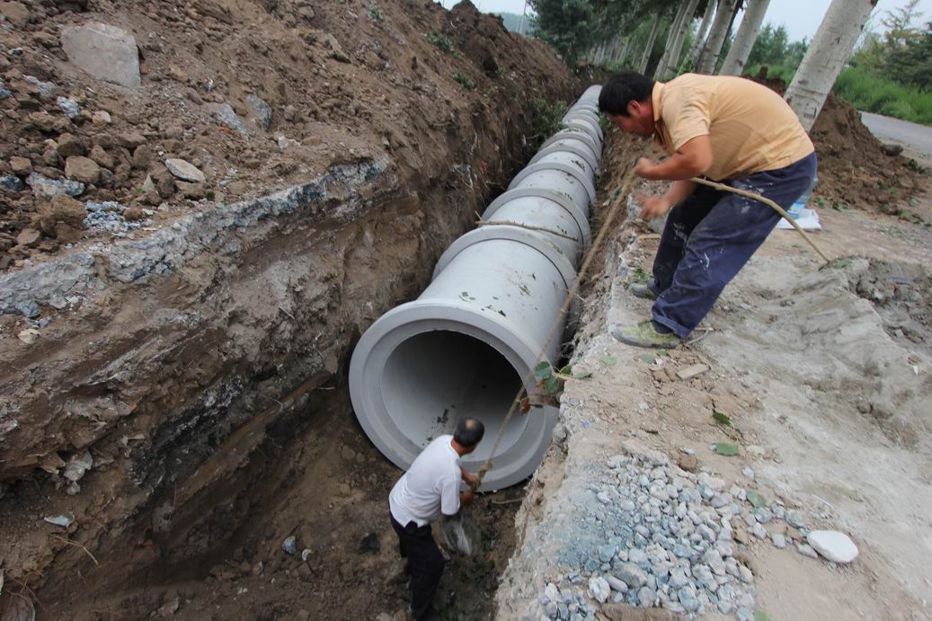 沈城排水防汛设施今起大体检