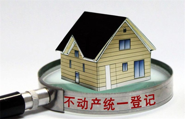 不动产登记,公积金,社保经办大厅 周末也能办业务