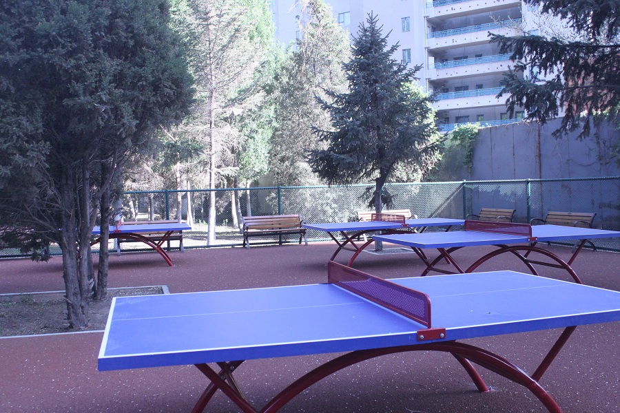 公园乒乓球场