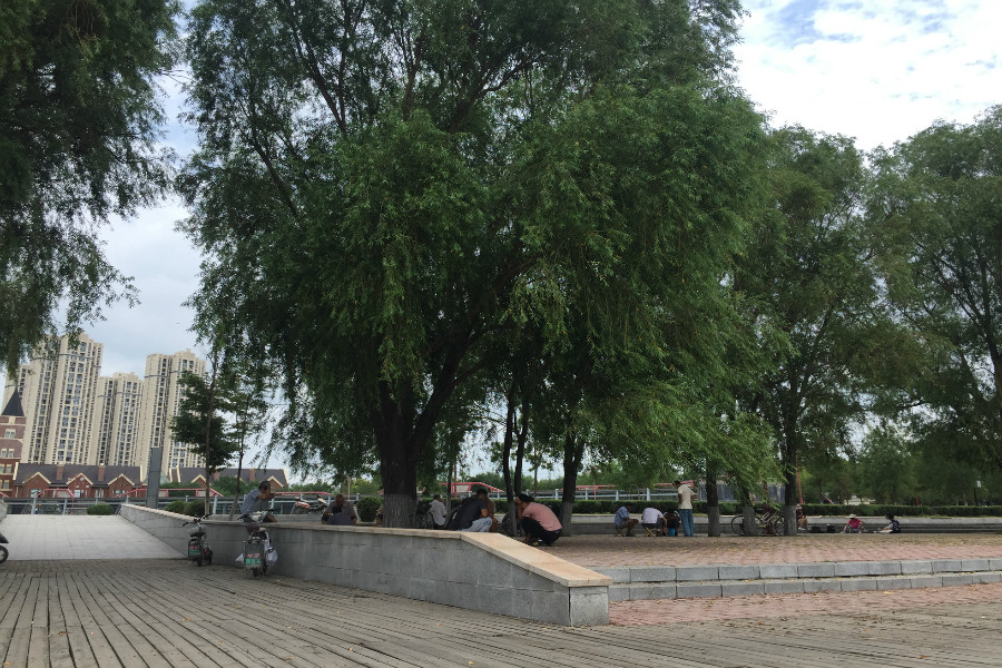 蒲河文化广场