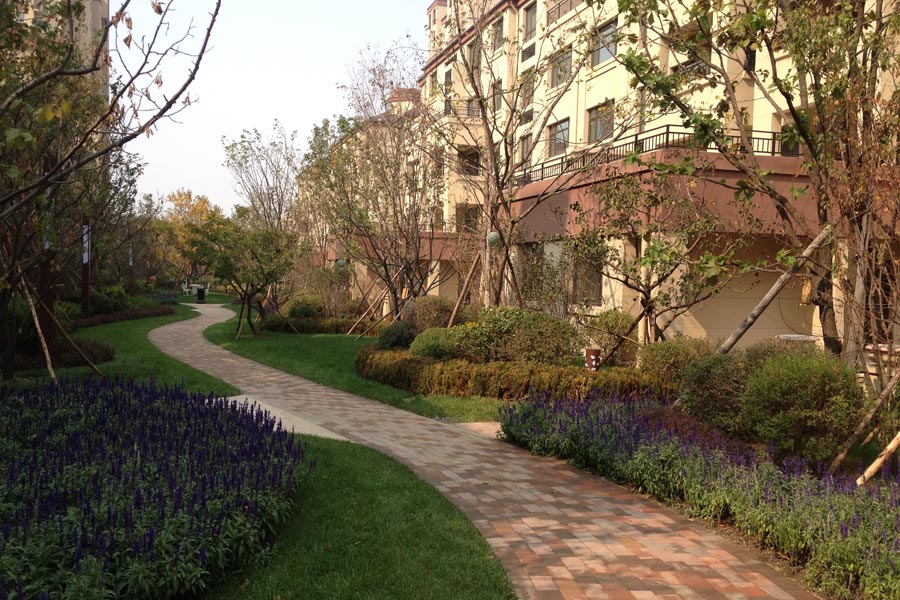 龙湖·花千树相册_沈阳龙湖·花千树实景图_龙湖·花千树效果图 房
