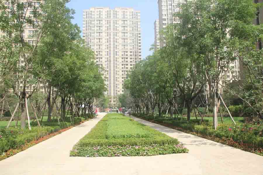 园区实景图