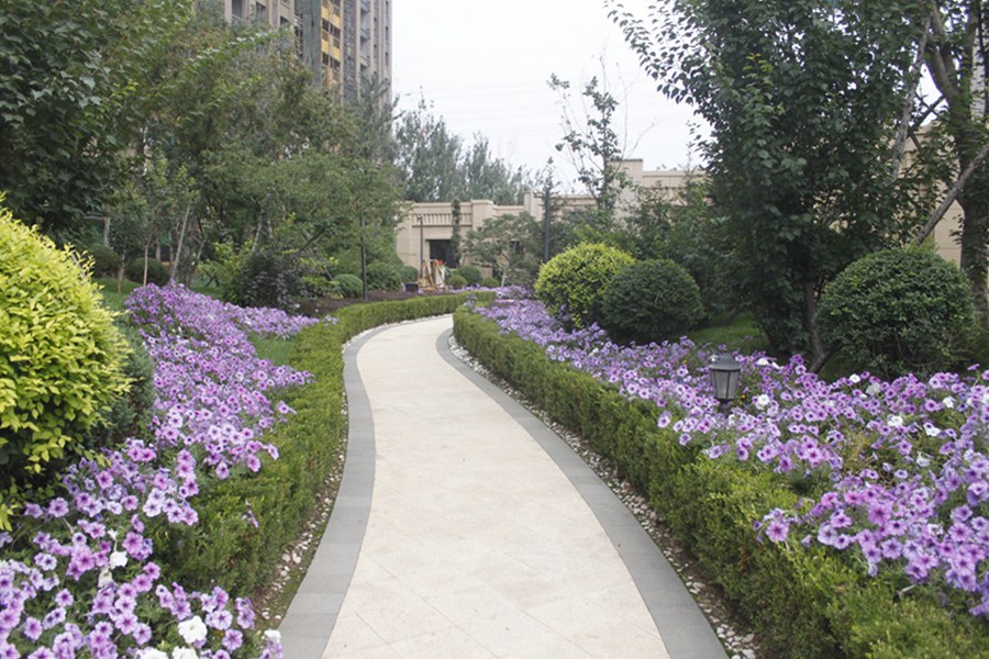 美的城园区景观