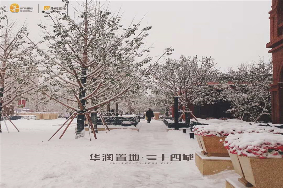 园区雪景图